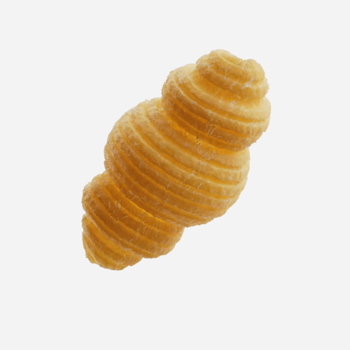 Conchiglia