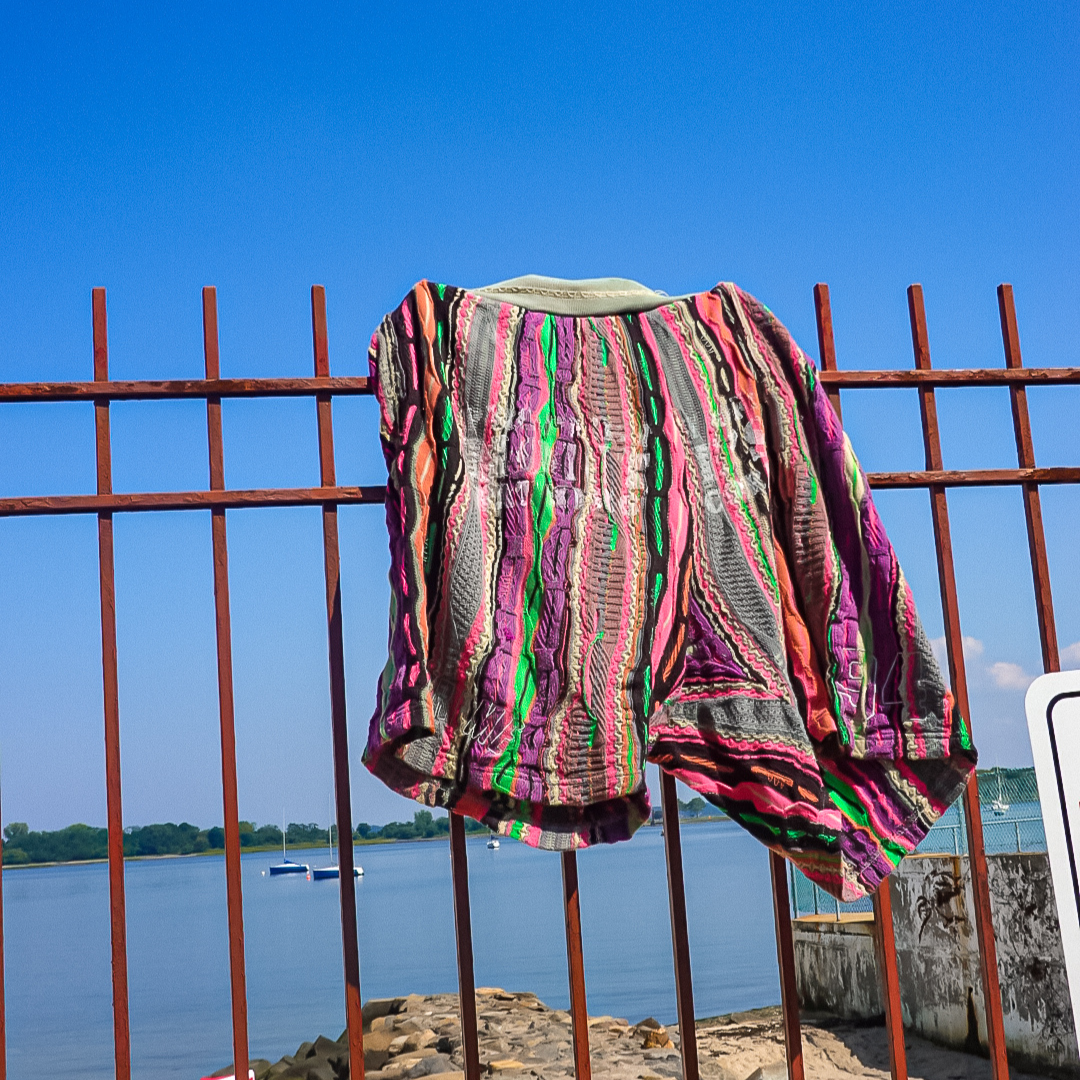 Coogi x Supreme x Monte's Shorts