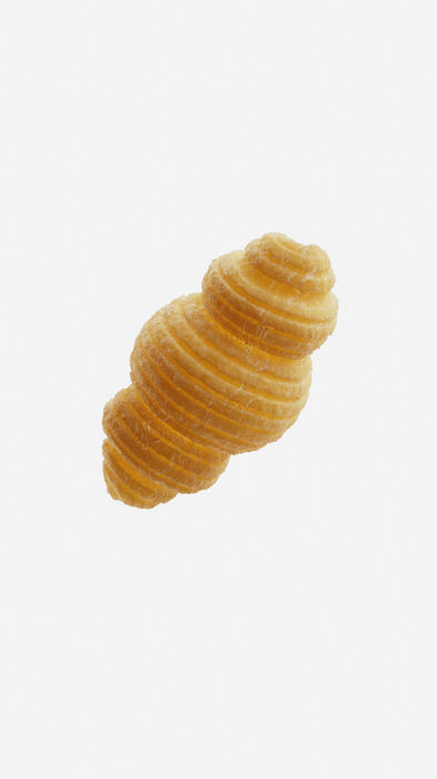 Conchiglia