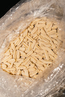 Bozzolo