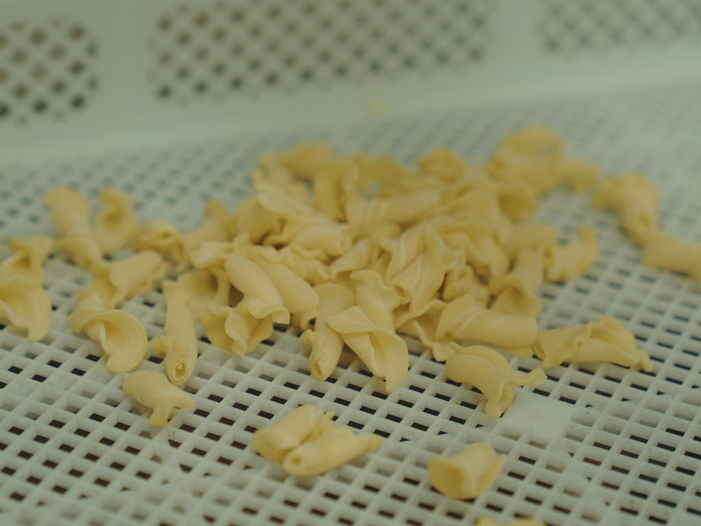 705f051b281b4c1fbffc7a6be94f01d3