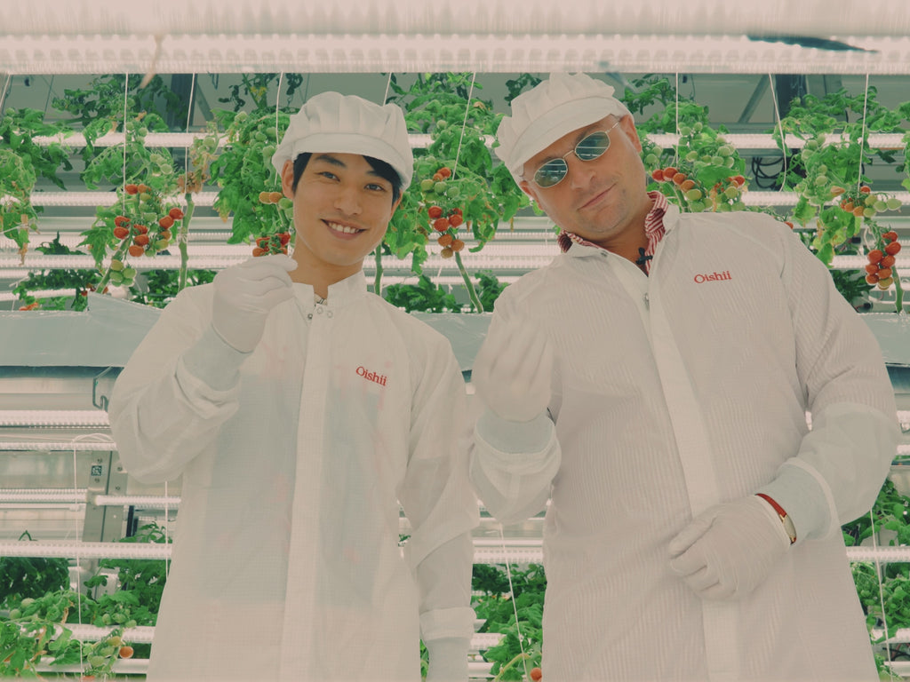 8478ec8bbb2e495ea84295c731676d80