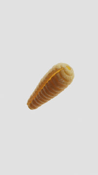 Bozzolo